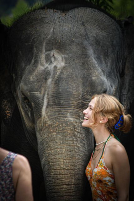 Phuket: Elephant Jungle Sanctuary Half-Day Visit With Meal