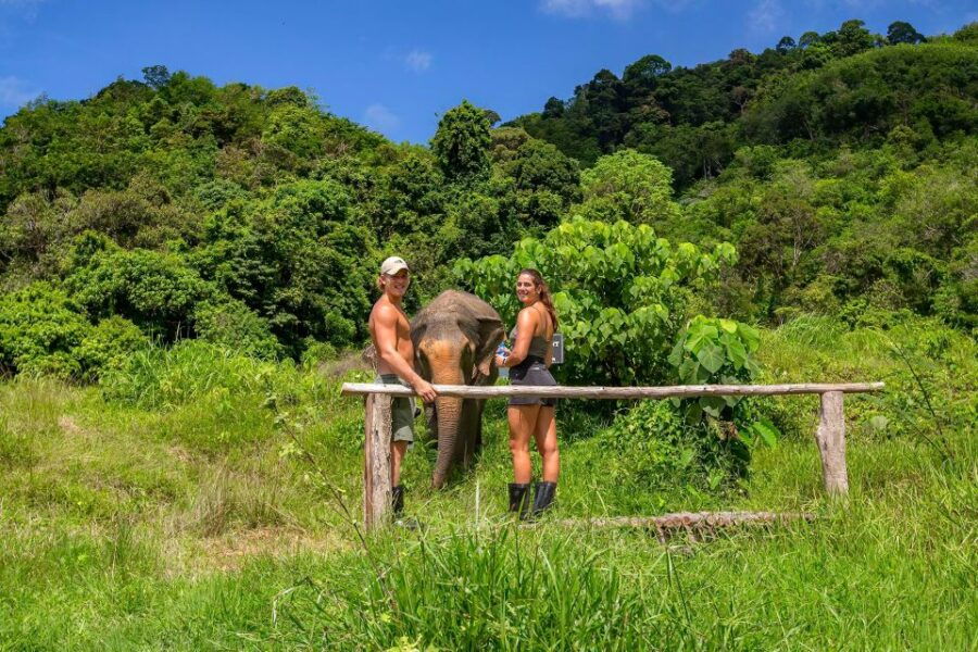 Phuket: Elephant Sanctuary Guided Tour With Hotel Transfers - Good To Know