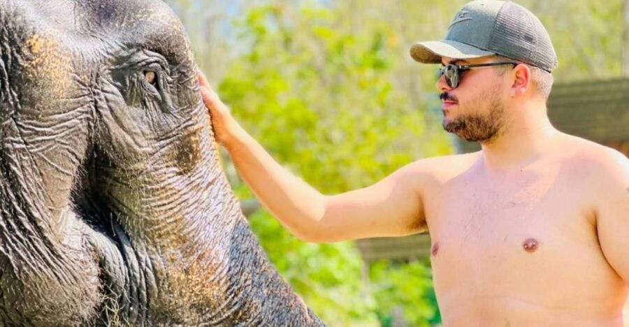 Phuket: Feeding Elephants at Phuket Elephant Care