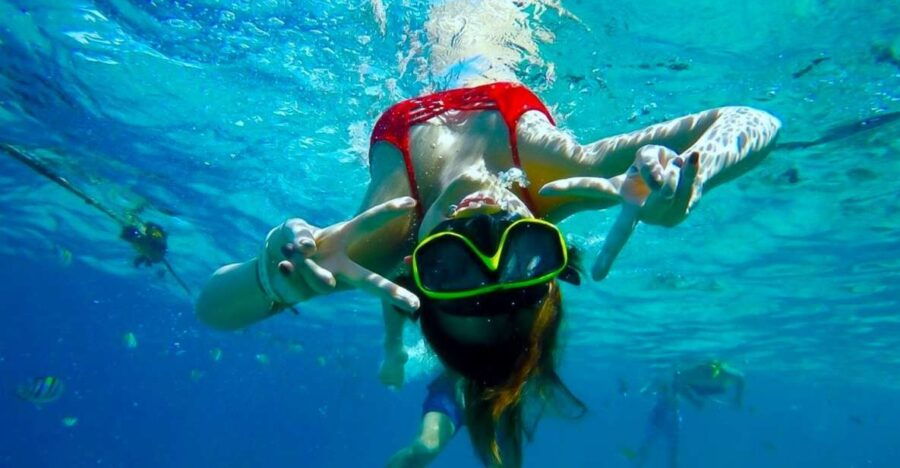 Phuket: Phi Phi Islands Tour by Speedboat & Lunch Buffet