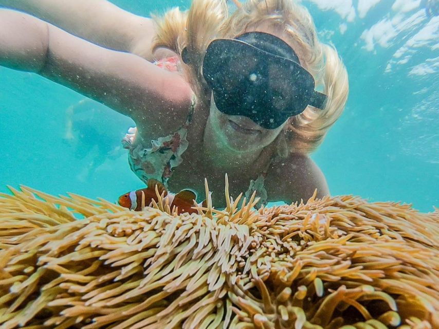 Phuket: PP-Maya-Bamboo Islands Day Trip by Speed Boat - Booking Details