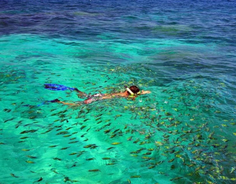 Phuket Similan Islands Private Speedboat Adventure