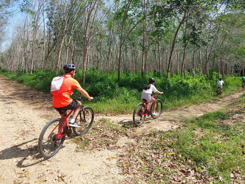 Phuket's Hidden Trails Biking Adventure Small-Group Tour - Good To Know