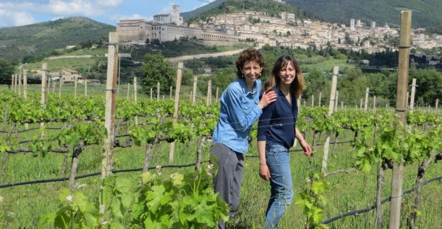 Pic Nic Deluxe Assisi and Wine Tasting 5 Wines