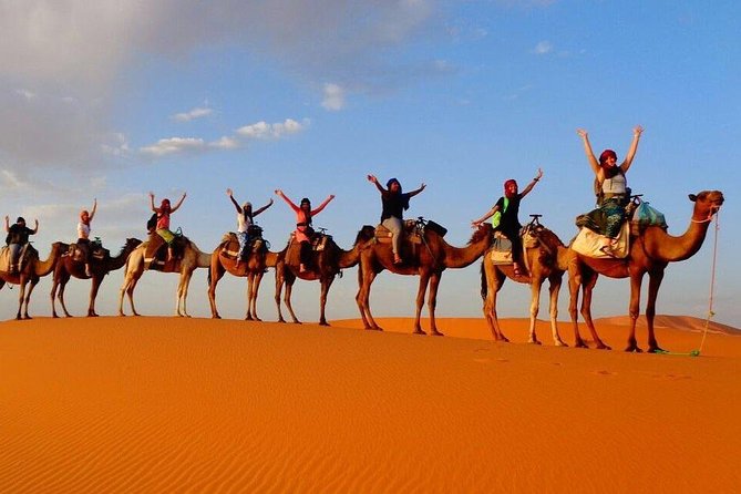 Pick an Outdoor Activity: Balloons, QUAD, Camel Ride, Sahara Trip - Booking and Cancellation