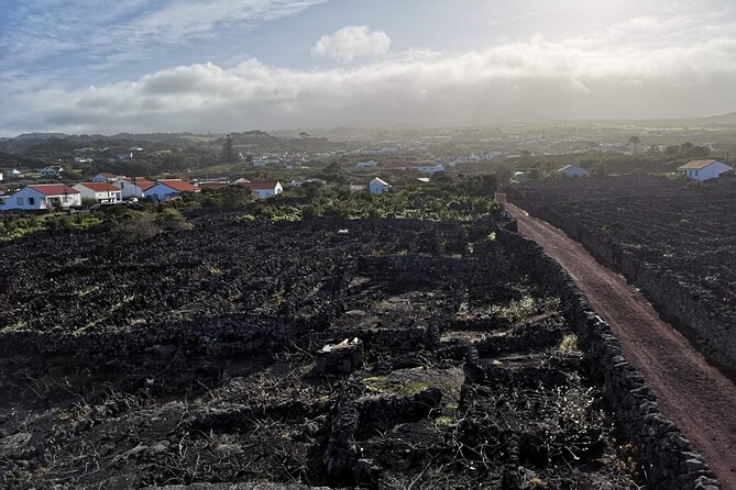 Pico Private Full-Day Tour  – Faial Island
