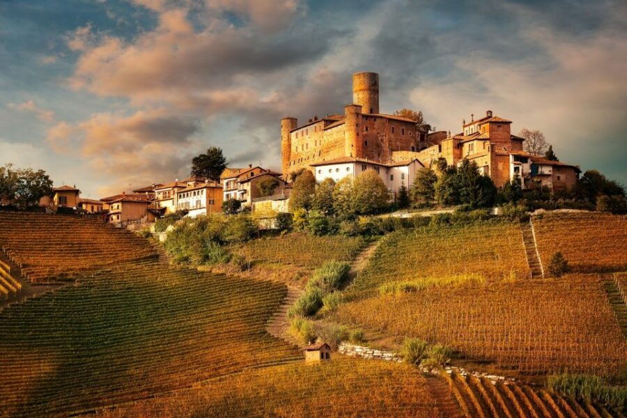 Piedmont: 2-Hour Winery Visit With Wine Tasting