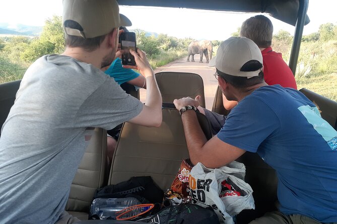 Pilanesberg National Park and Sun City Tour - Good To Know
