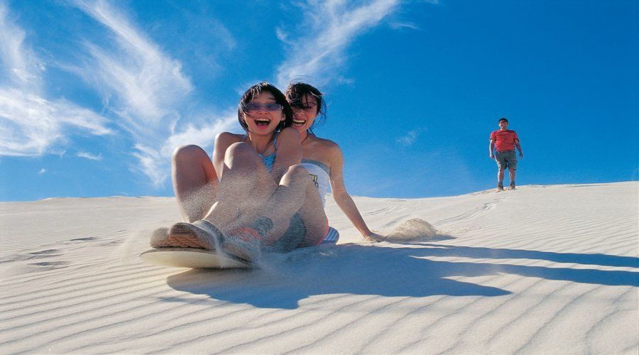 Pinnacles, Koalas & Sandboarding Tour Day Trip From Perth