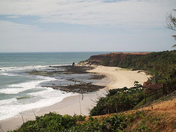 Pipa Beach Day Tour From Natal - Good To Know