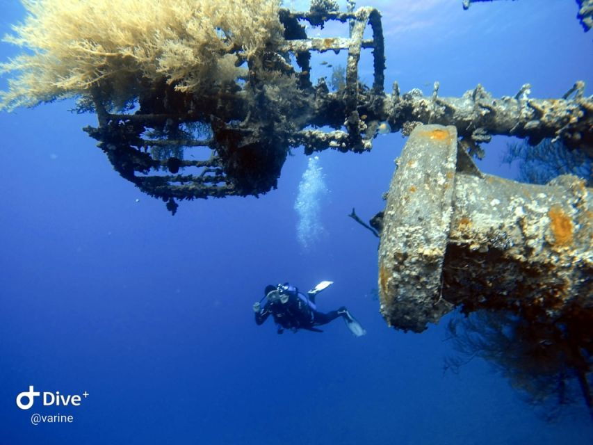 Pivate Scuba Diving in the Red Sea of Aqaba - Booking Information