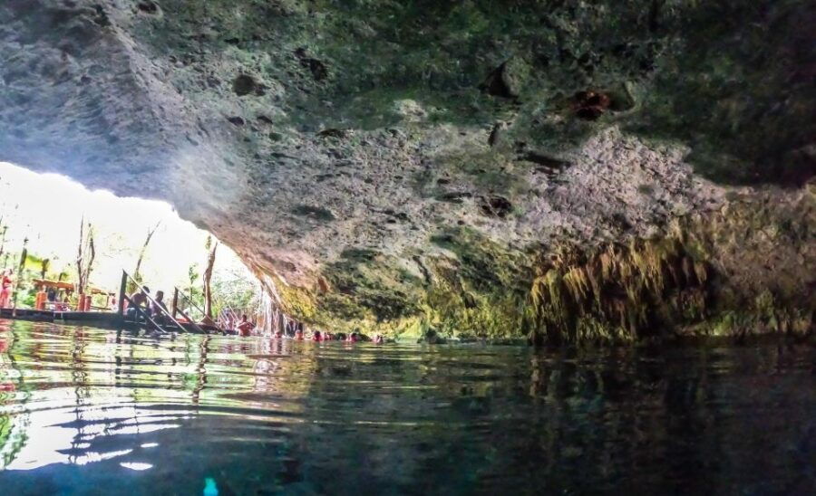 Playa Del Carmen: Cenote and Swim With Turtles Half Day Tour - Good To Know