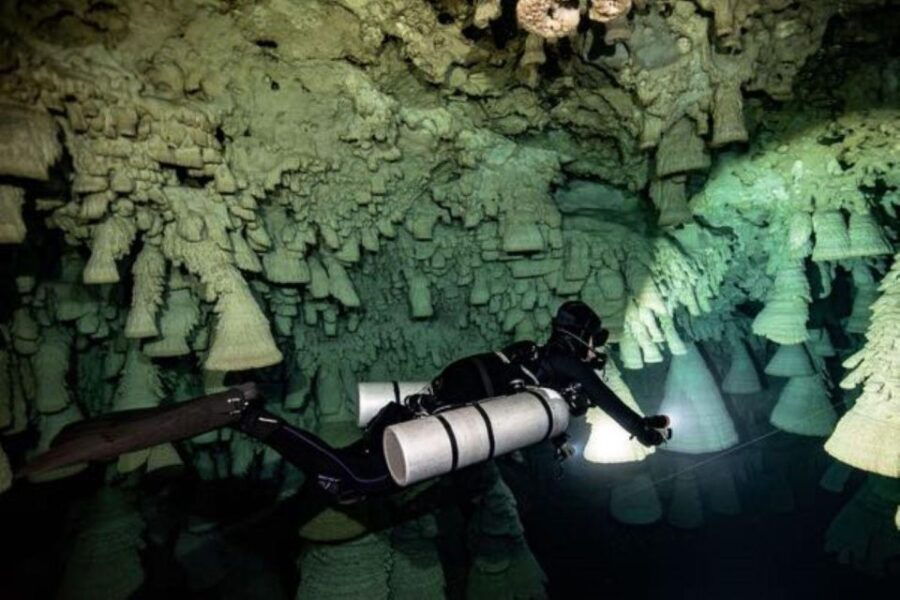 Playa Del Carmen: Discover the Depths of Dos Ojos Cenote