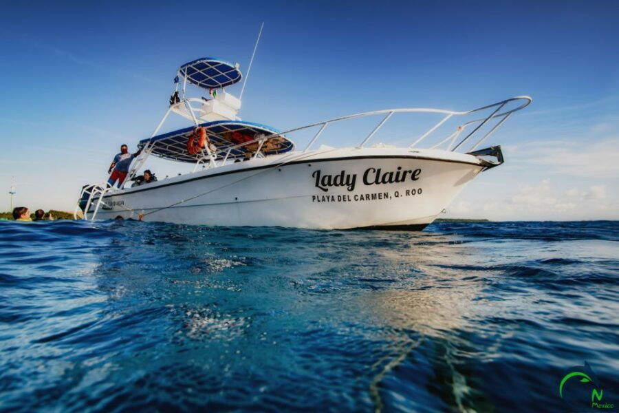 Playa Del Carmen: Reef Snorkeling Tour