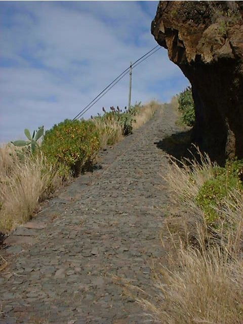 Pleasures: Full-Day Nature Walk - Good To Know