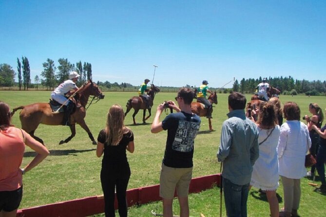 Polo Match, BBQ and Lesson Day-Trip From Buenos Aires - Overview of the Polo Match Day-Trip