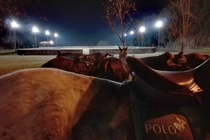 Polo Under the Stars and Argentine BBQ Evening Venue From Buenos Aires - Good To Know
