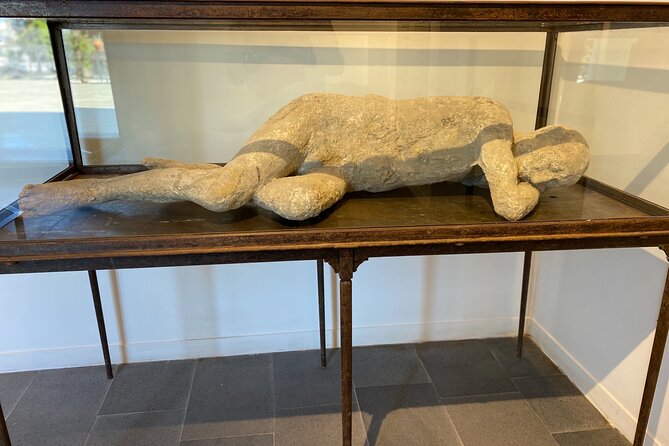 Pompei-herculaneum & Wine Tasting - Ancient Ruins Exploration