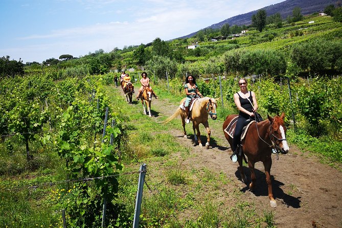 Pompeii Tour With Horse Riding and Winery Tour  - Sorrento - Good To Know