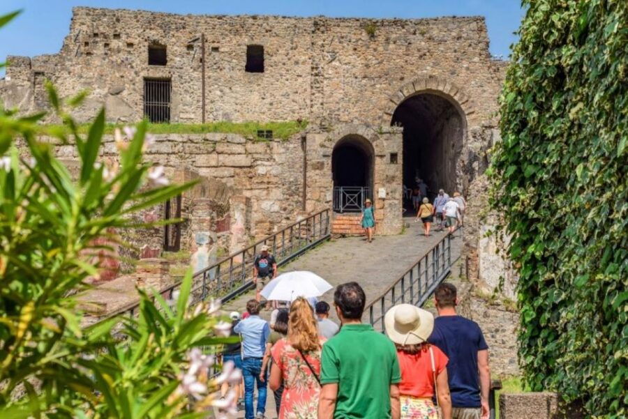 Pompeii: Tour With Priority Entrance and Guide From Naples