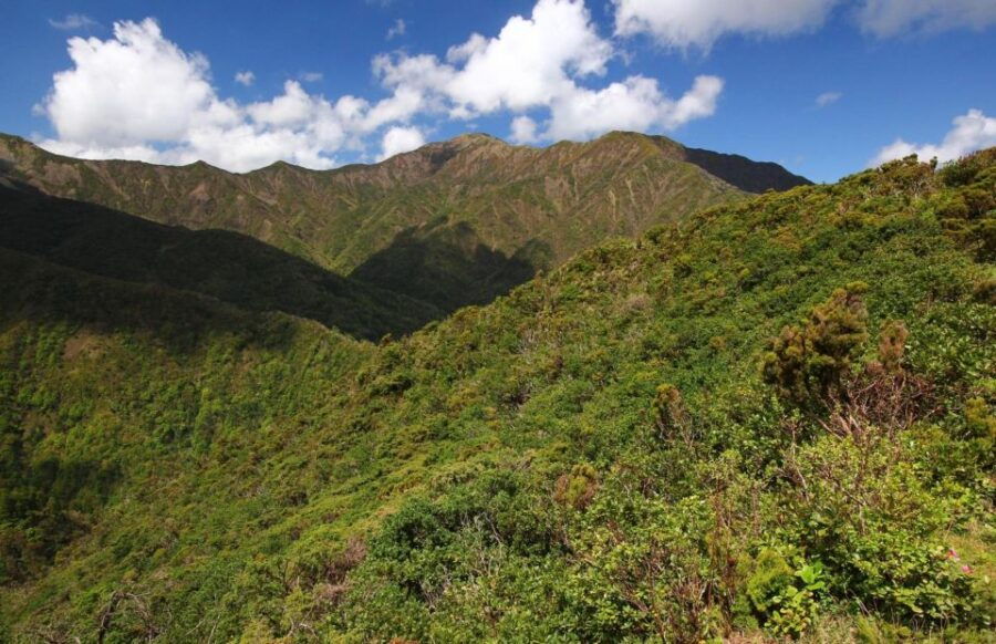 Ponta Delgada to Furnas and Nordeste One Day Tour 80 Eurs - Good To Know