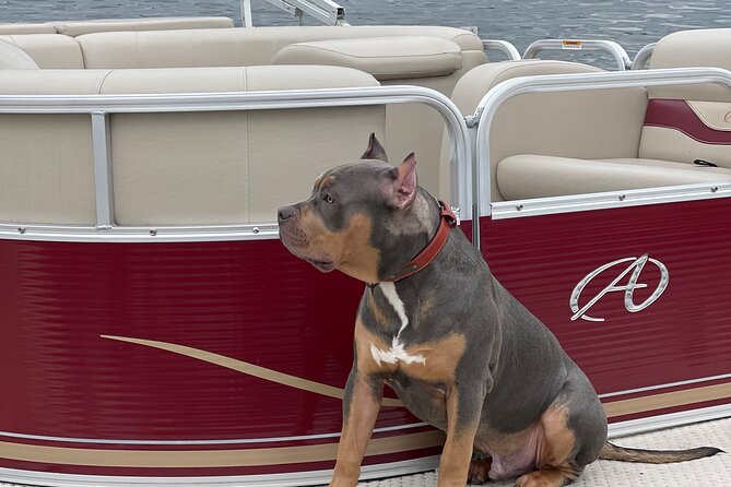 Pontoon And/Or Jetski Rental - Good To Know
