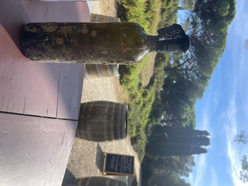 Porquerolles: Semi-Rigid Excursion Sea Odyssee - Good To Know