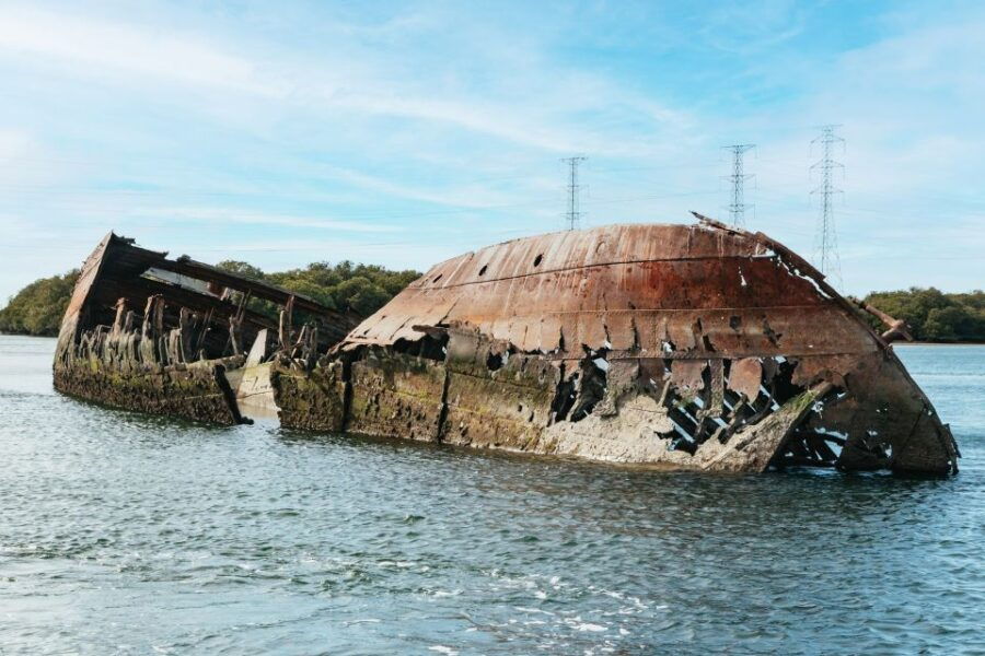 Port Adelaide: Dolphin and Ships Graveyard Cruise - Good To Know