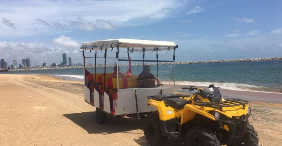 Port City Beach Safari - Good To Know