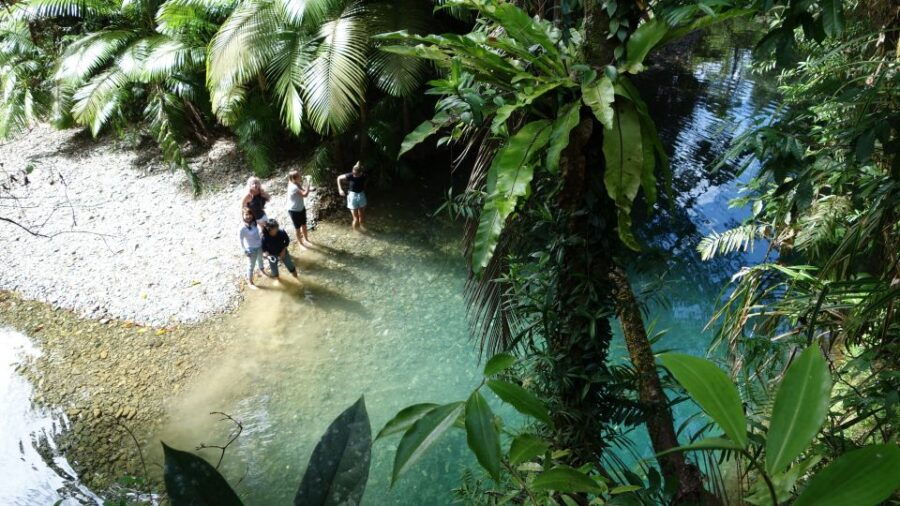 Port Douglas: Daintree Rainforest and Mossman Gorge Tour