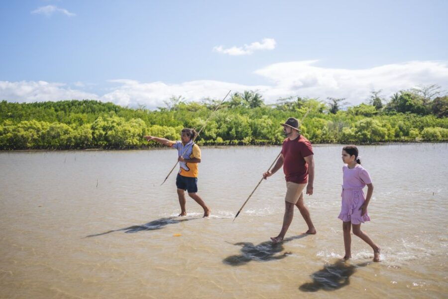 Port Douglas: Full Day Daintree Cultural Tour With Lunch