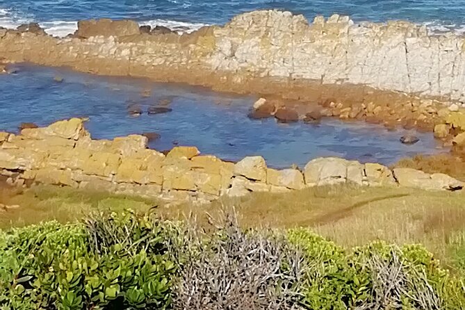 Port Elizabeth to Cape Town - Garden Route Tour - Choice of 3 to 5 Days - Tour Details and Inclusions