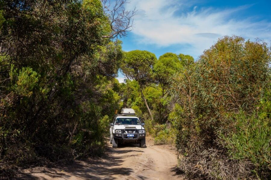 Port Lincoln: Wildlife and Sightseeing Full-Day 4WD Tour - Good To Know