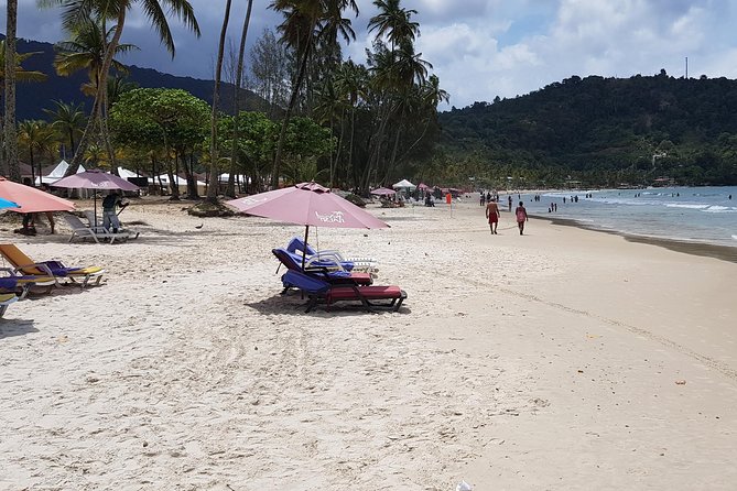 Port of Spain Private Maracas Beach Tour  - Trinidad - Good To Know
