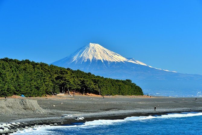 Port Pick-Up: Shizuoka Tour With Licensed Guide and Vehicle