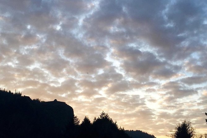 Portland Small-Group Tour: Columbia Gorge, Winery, and Museum