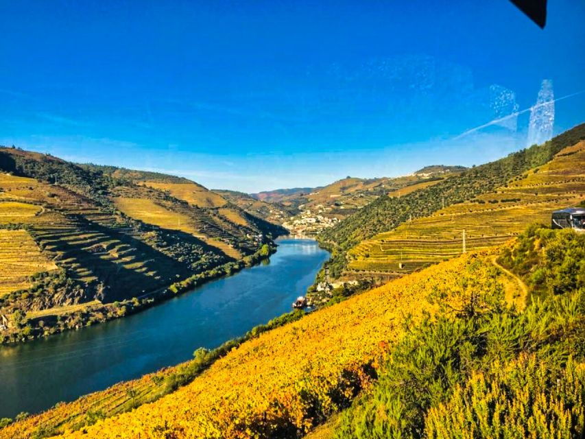 Porto: Douro Valley Experience With 3 Wineries & Lunch - Good To Know