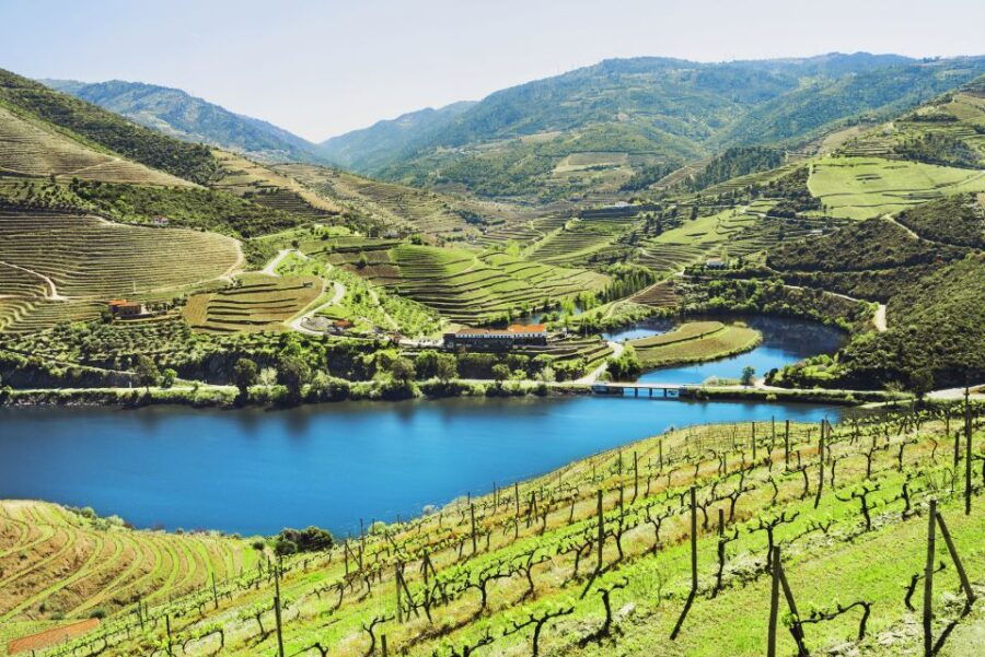 Porto: Douro Valley Wine Tour With Lunch
