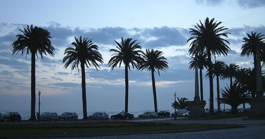 Porto: Private Bike Tour With a Local Guide - Good To Know