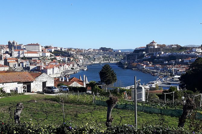 Porto Private Full Day Tour