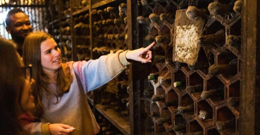 Porto Wine & Dine: Port Wine Cave and Food Tour - Good To Know