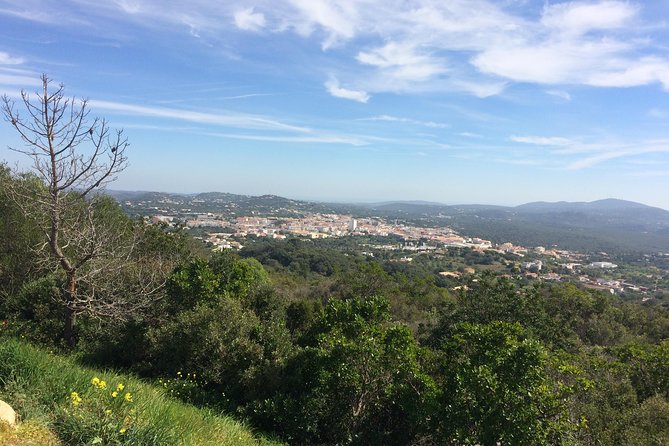 Portugal: Algarve Traditional Cork-Making Tour  – Albufeira