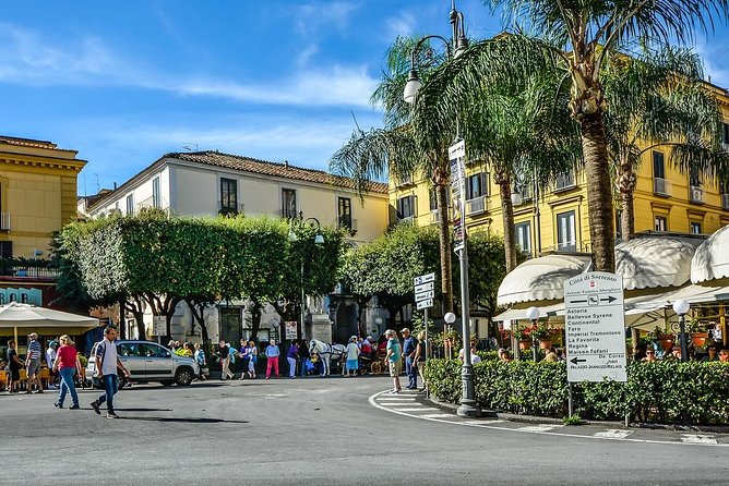 Positano Sorrento and Pompeii From Naples by Private Mercedes Van - Good To Know