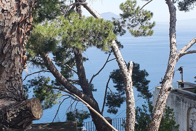 Positano, Sorrento and Pompeii in One Day With Expert Local Driver & Guide - Good To Know