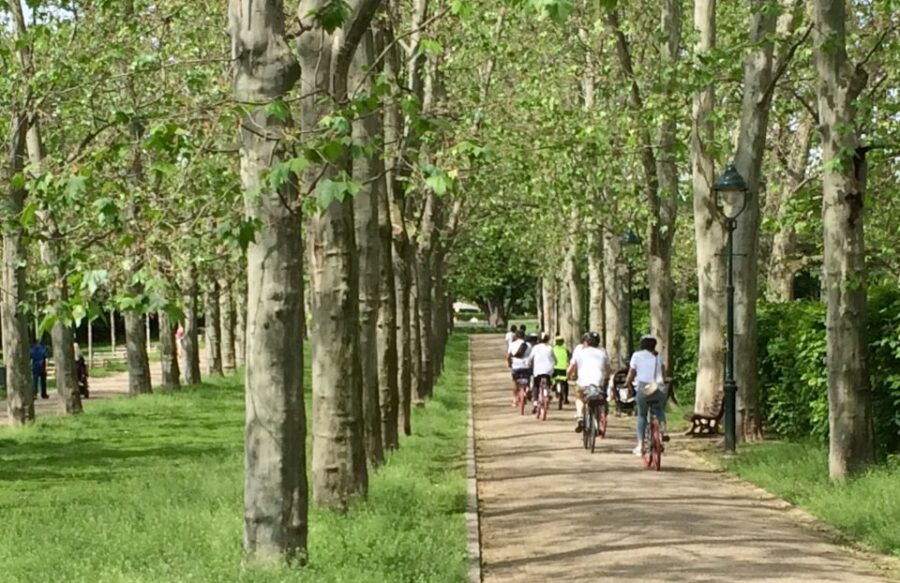 Prague: Exceptional Panoramic Viewpoint & Castle E-Bike Tour - Good To Know