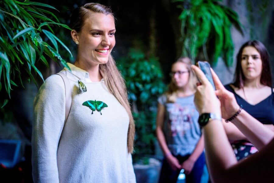 Prague: Papilonia Butterfly House - Good To Know