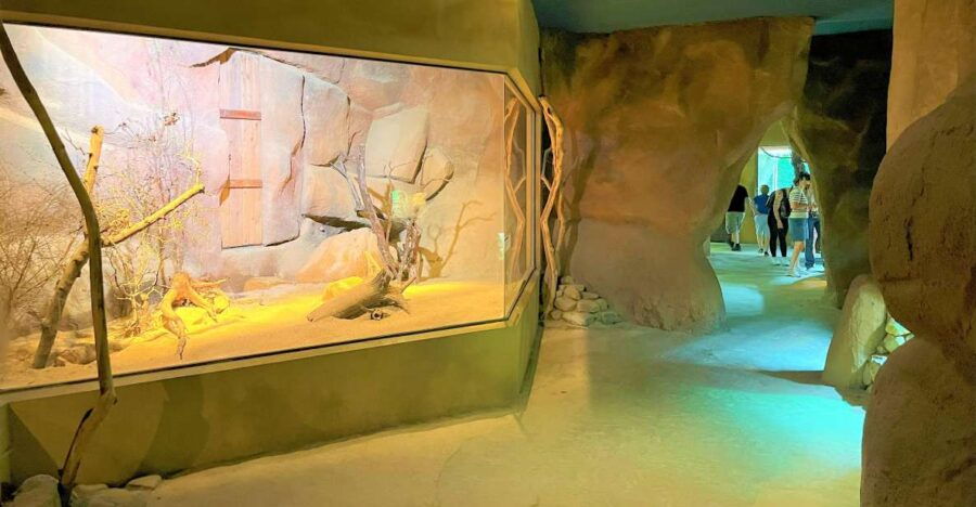 Prague Zoo Audio Guide With E-Ticket - Good To Know