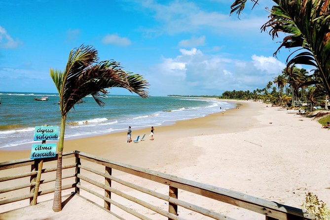 Praia Do Forte & Guarajuba