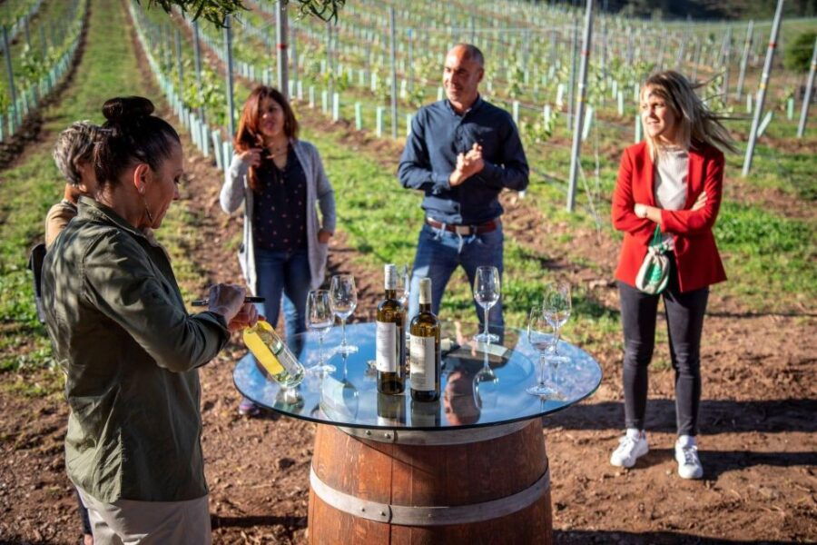 Premium Porto Santiago Compostela Tour Lunch & Wine Tasting - Good To Know