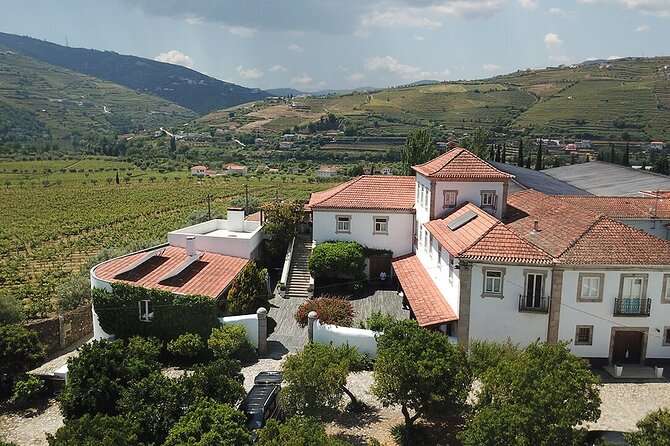 Premium Private Douro Tour: 2 Wineries With Tastings & Cruise - Good To Know